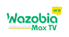 Wazobia Max TV